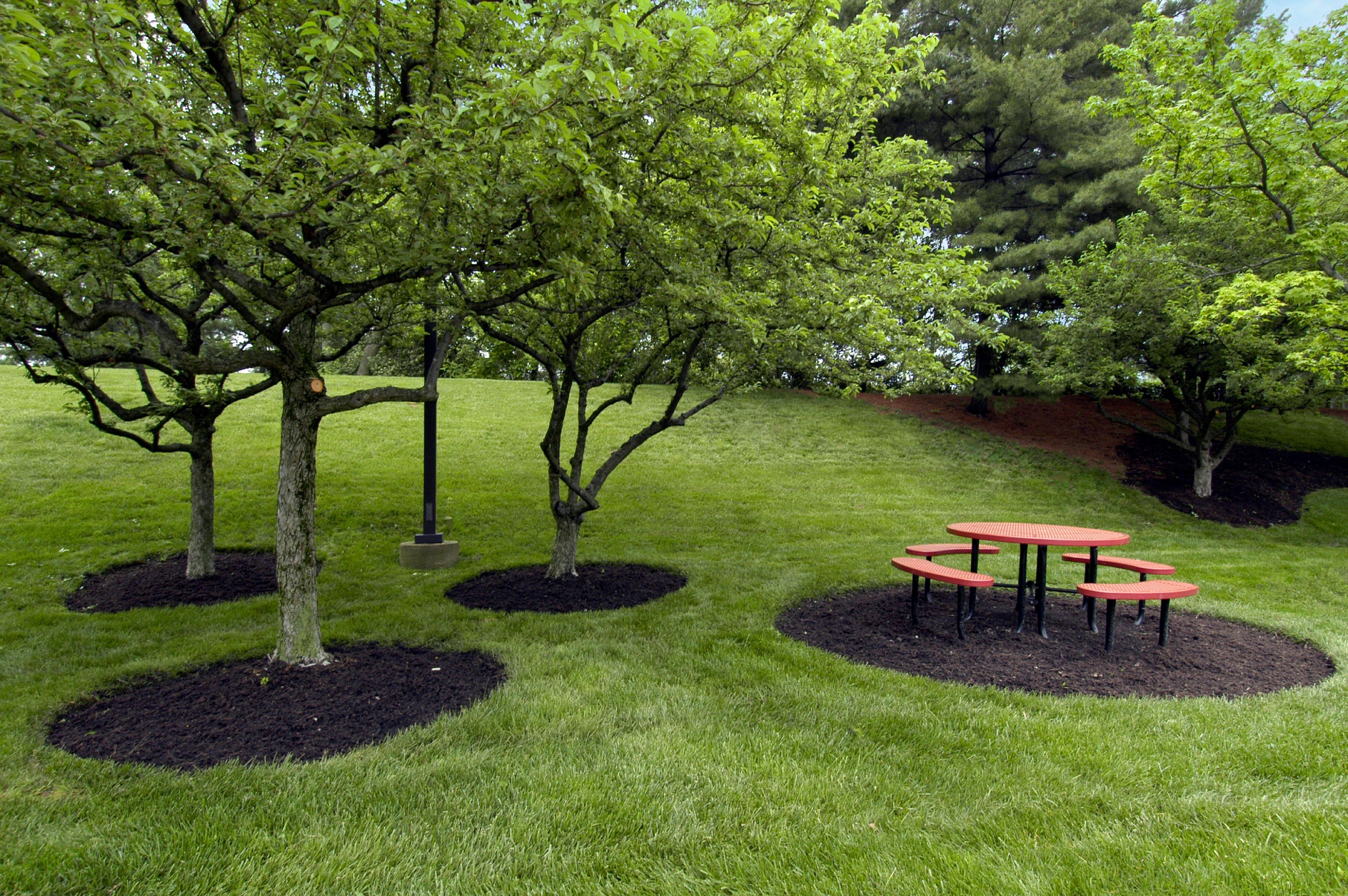 Red Roof Inn Cincinnati Northeast - Блу-Аш Екстер'єр фото