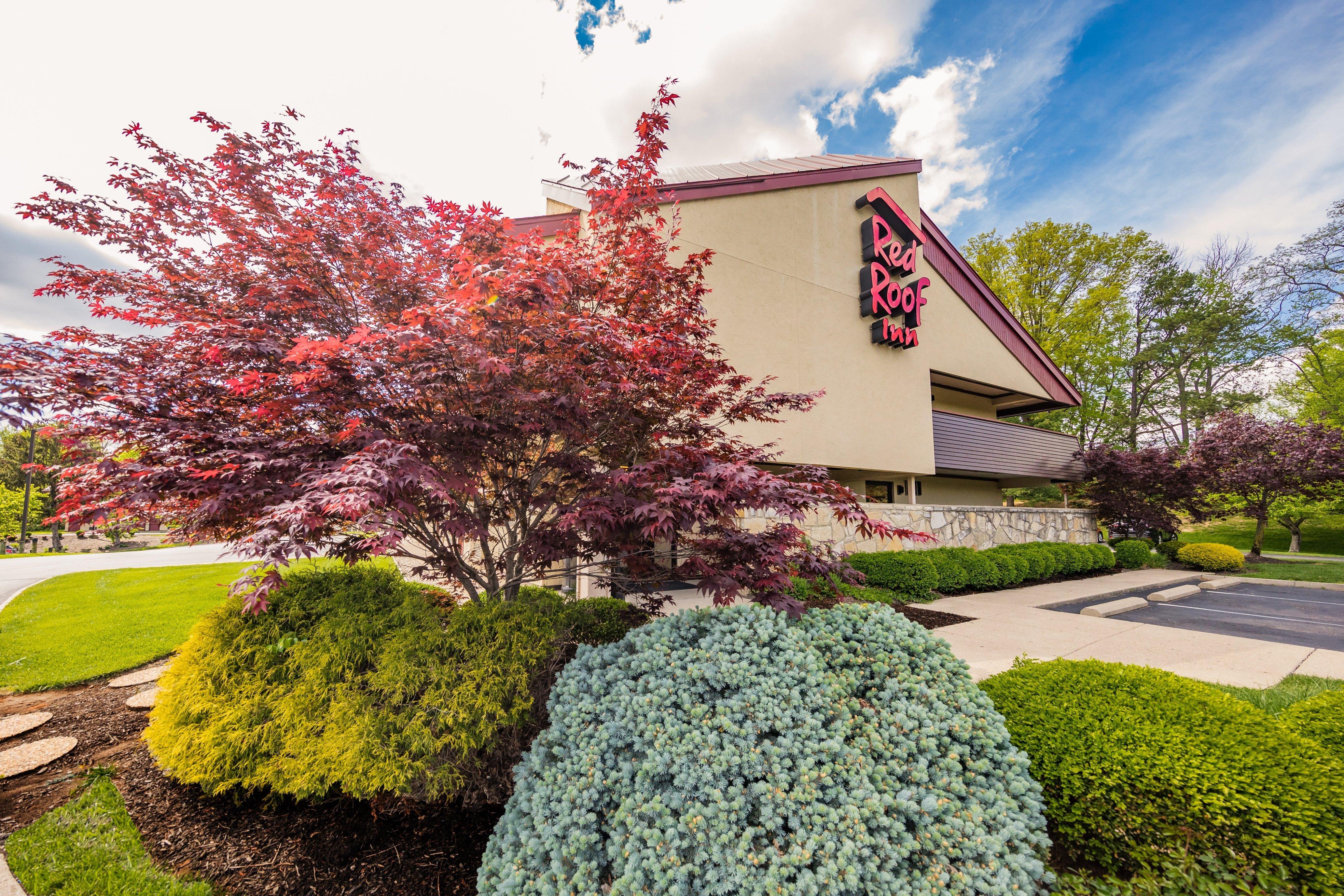 Red Roof Inn Cincinnati Northeast - Блу-Аш Екстер'єр фото