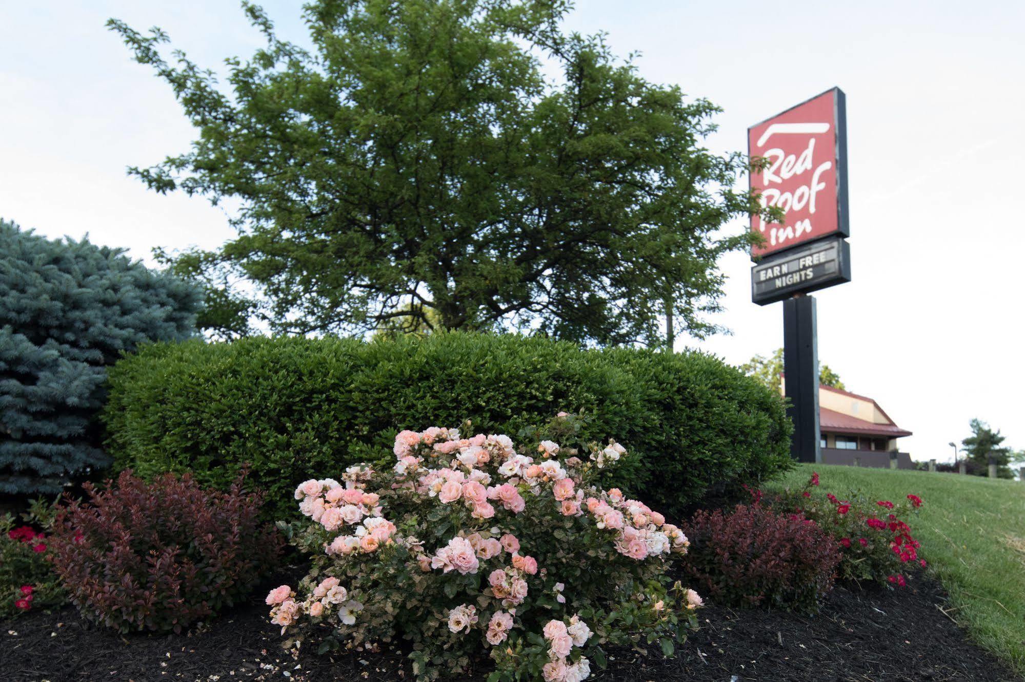 Red Roof Inn Cincinnati Northeast - Блу-Аш Екстер'єр фото